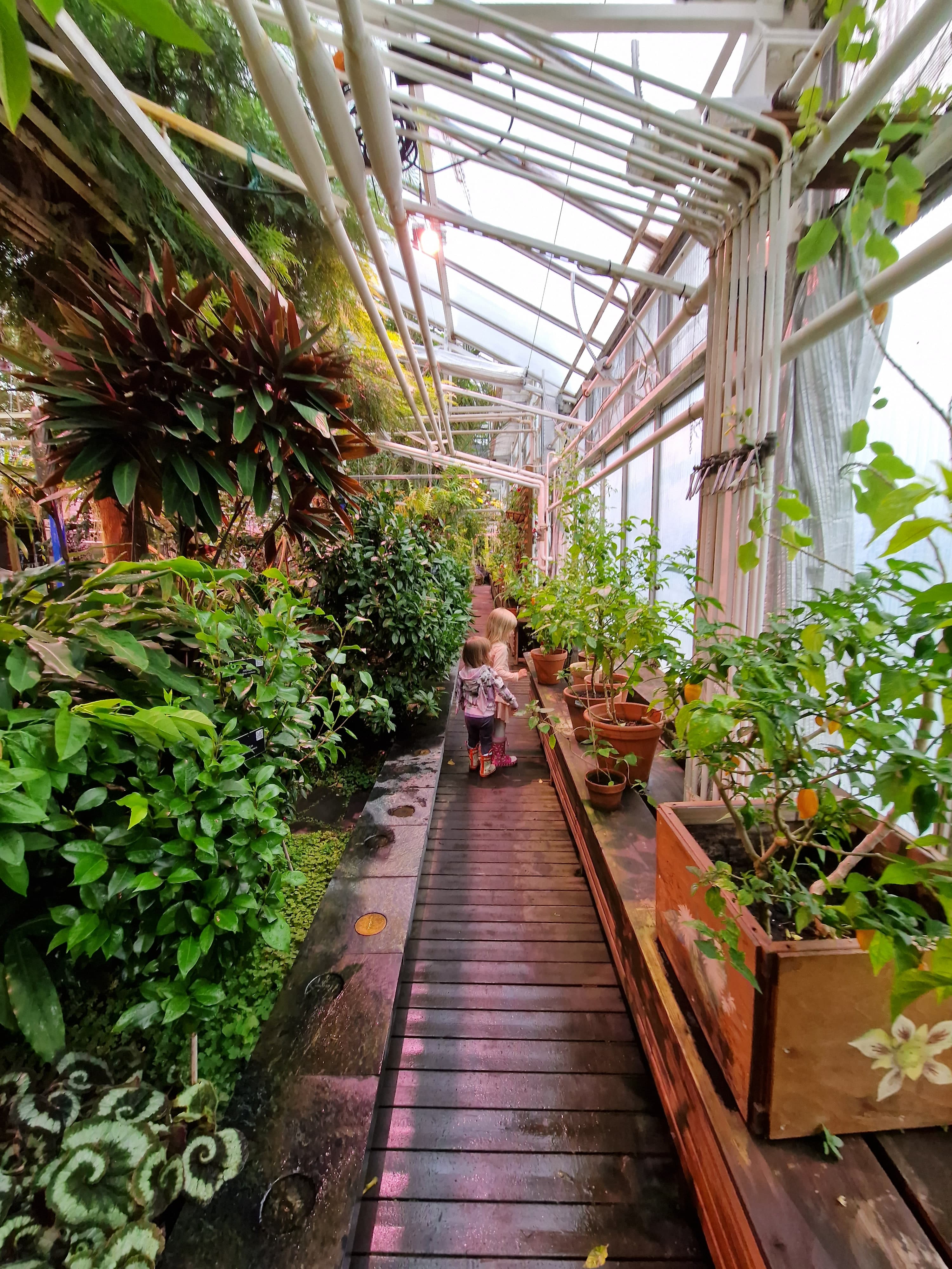 Botania Taidepuutarha